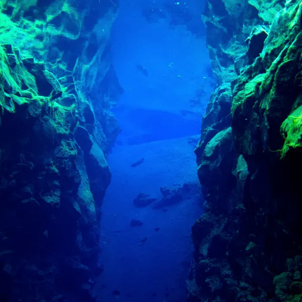 טיול צלילה באיסלנד - קרח, אש ומים צלולים