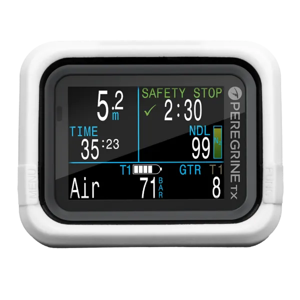 Peregrine נרתיק מגן